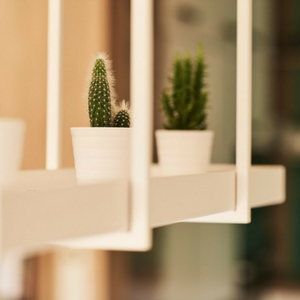 Dom zero waste – jak go urządzić? 5 Dom zero waste – jak go urządzić? - Atoato , Agnieszka Pasieka-Adamek , Architekt Wnętrz Poznań